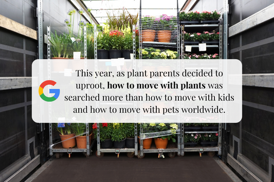 The best way to pack your plants when moving