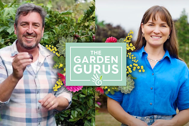 Holly explores how Willow can revolutionise plant care