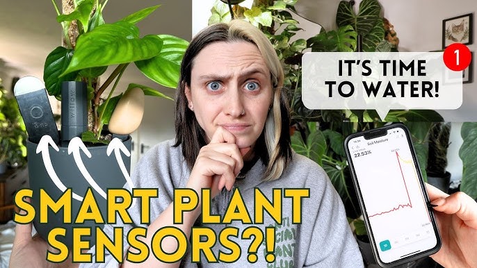 Game-changing houseplant tech - do smart plant sensors really work?