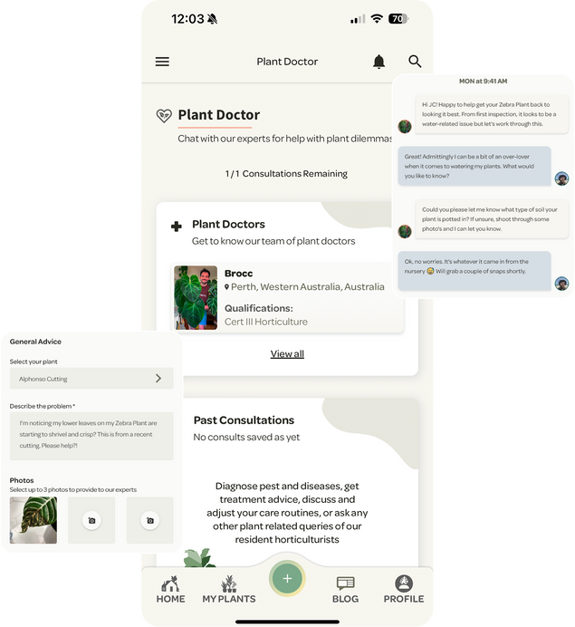 User messages to a Willow Horticulturist via Plant Doctor, a Willow Grow feature