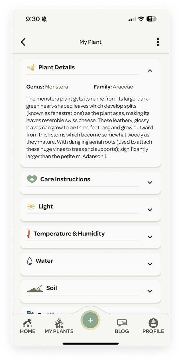 Willow App screenshot of a Monstera care information