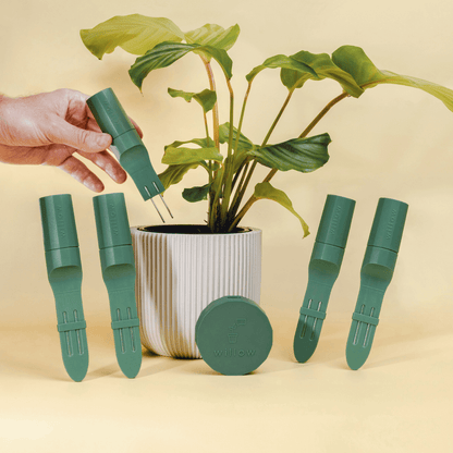 Moss Coloured Urban Jungle Pack