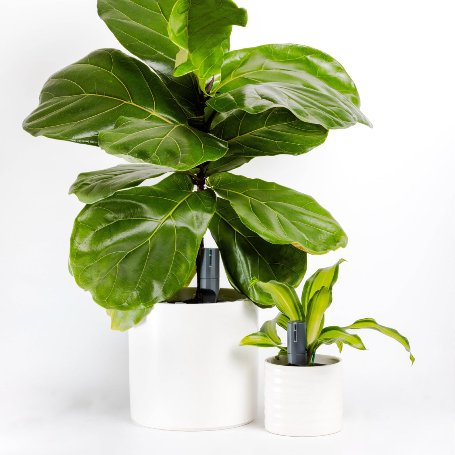 Large Pot Extension